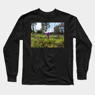 Purple flowering crocus. Time to spring Long Sleeve T-Shirt